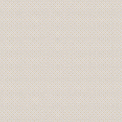 Jab Anstoetz Preston Colour 2