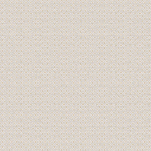 Jab Anstoetz Preston Colour 2