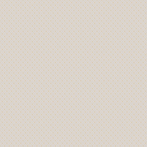 Jab Anstoetz Preston Colour 2