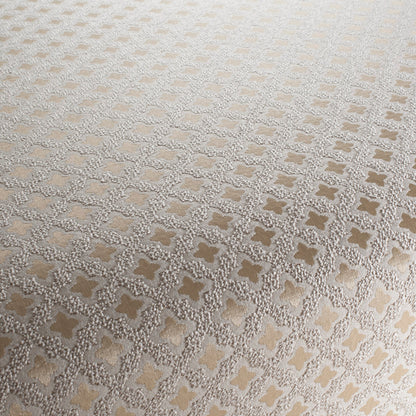 Jab Anstoetz Preston Colour 2