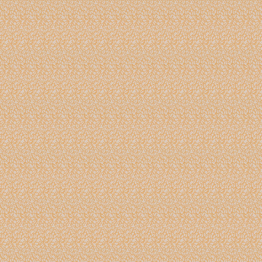 Jab Anstoetz Miami Colour 6