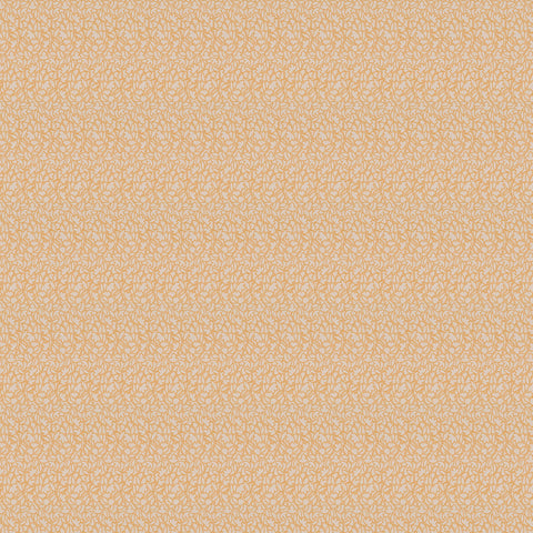 Jab Anstoetz Miami Colour 6