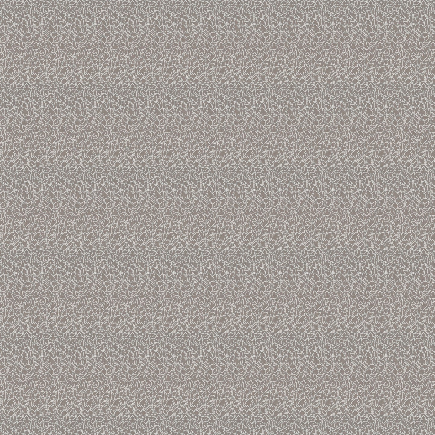 Jab Anstoetz Miami Colour 4