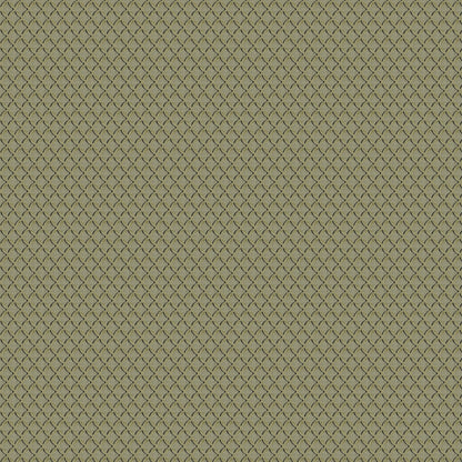 Jab Anstoetz Orlando Colour 3