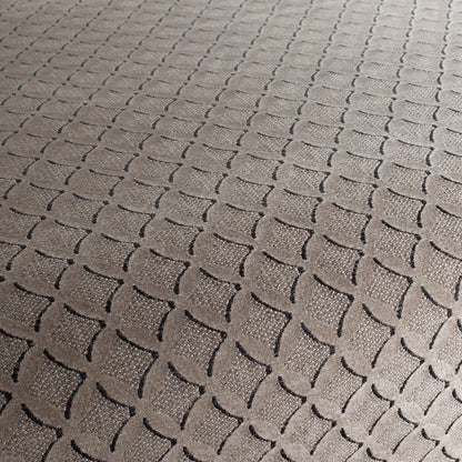 Jab Anstoetz Orlando Colour 2