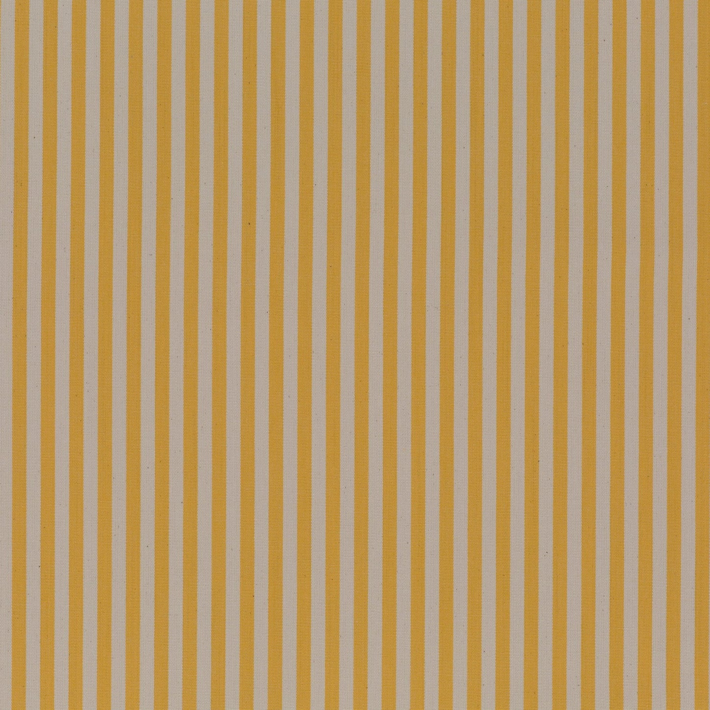 Jab Anstoetz Nice Colour 20