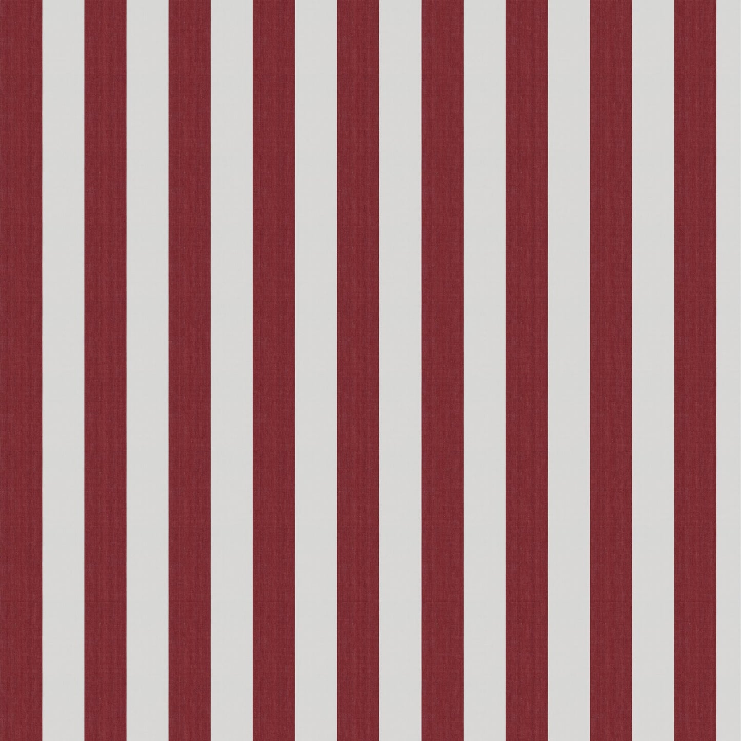 Jab Anstoetz Cannes Colour 9