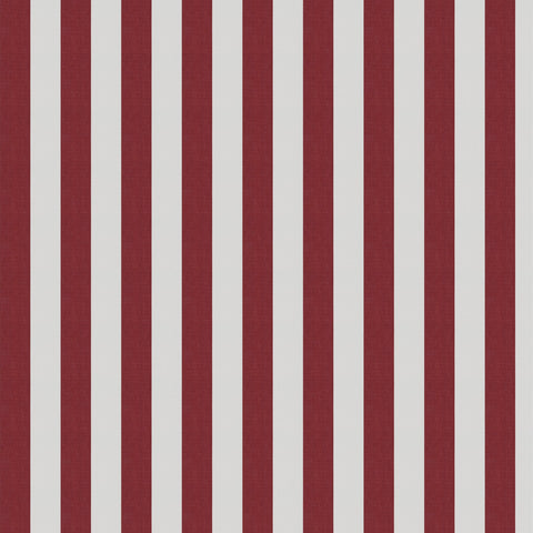 Jab Anstoetz Cannes Colour 9