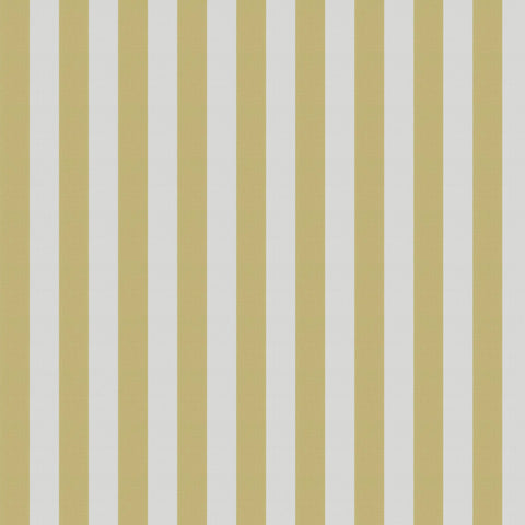 Jab Anstoetz Cannes Colour 5