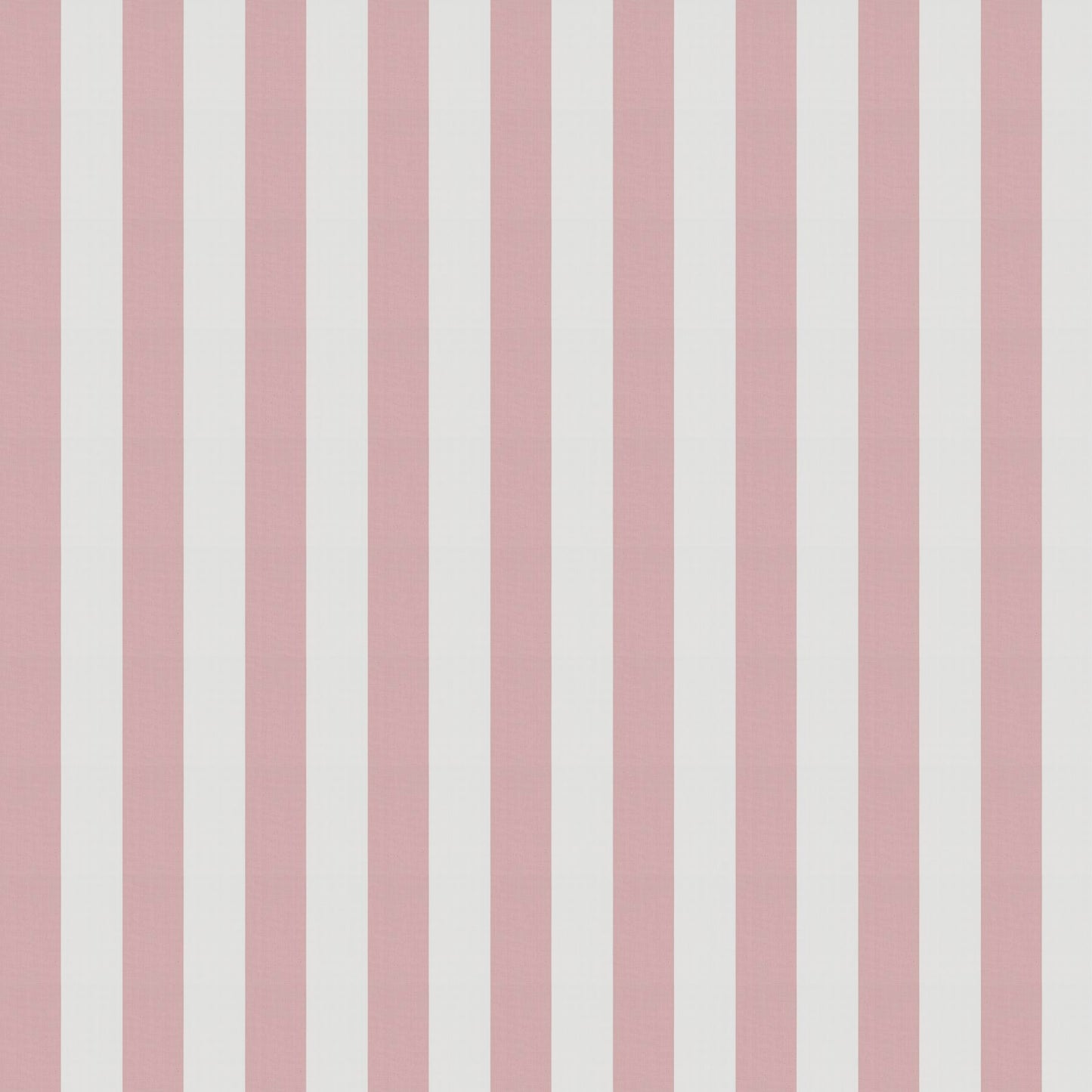 Jab Anstoetz Cannes Colour 2