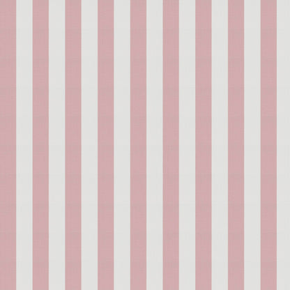 Jab Anstoetz Cannes Colour 2