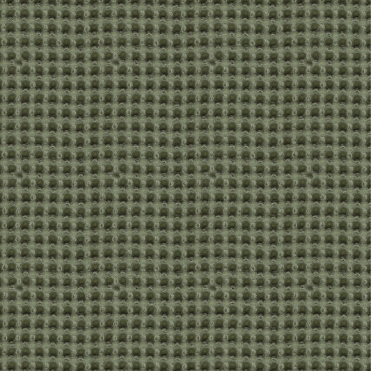 Archroll Anglesey Collection:   JY0202-6