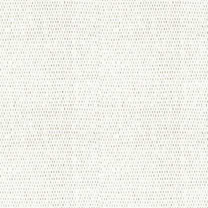 Archroll Cornwall Collection:  JY2300-2