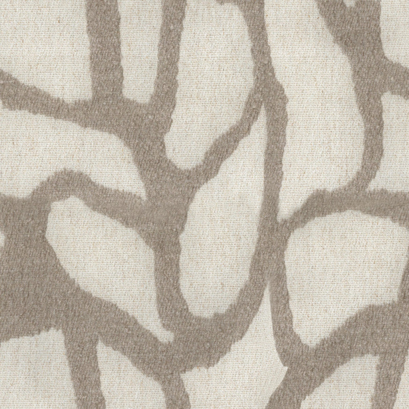 Archroll Atlas Collection: JY2435-2