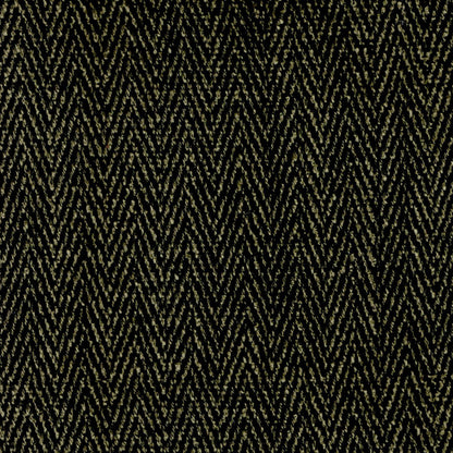 Archroll Galloway Collection:   JY2446-25