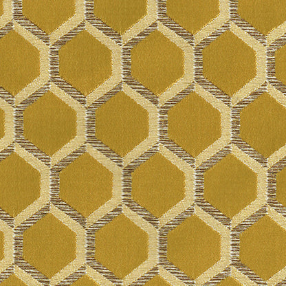 Archroll Goldance Collection:  JY8771-5