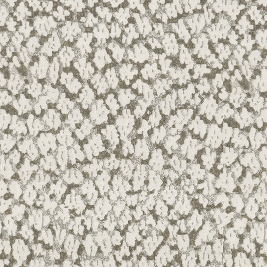 Archroll EI Dorado Collection: JY9749-12