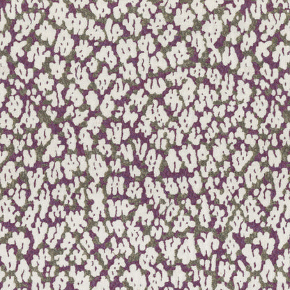 Archroll EI Dorado Collection: JY9749-16