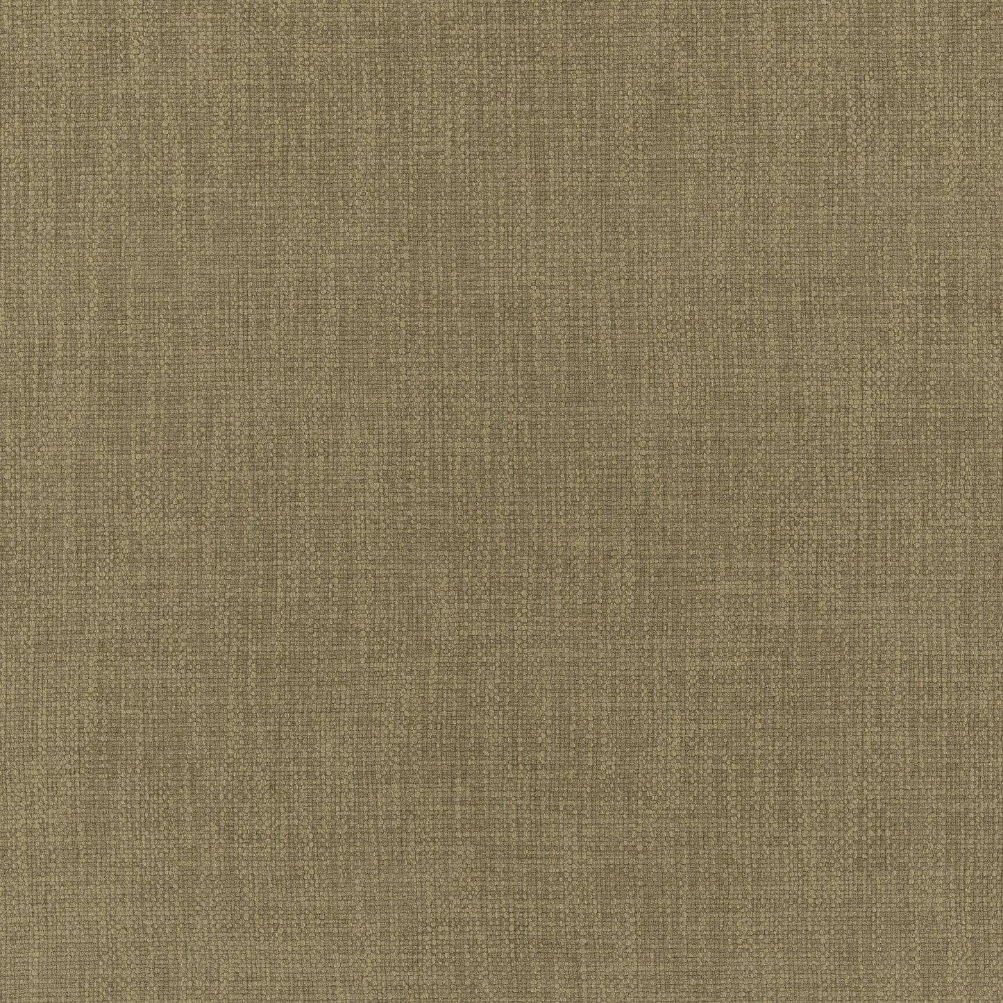 Warwick Jaeger Olive