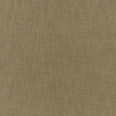 Warwick Jaeger Olive
