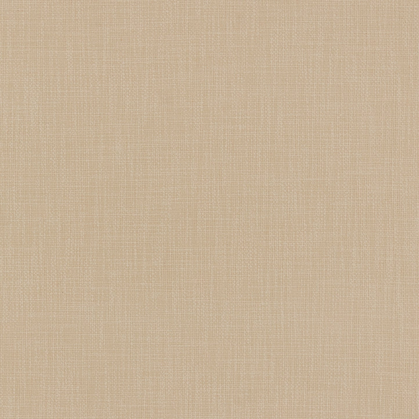 Warwick Jaeger Oyster