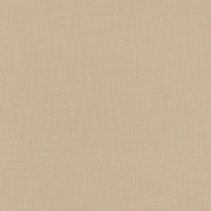 Warwick Jaeger Oyster