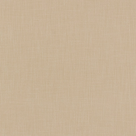 Warwick Jaeger Oyster