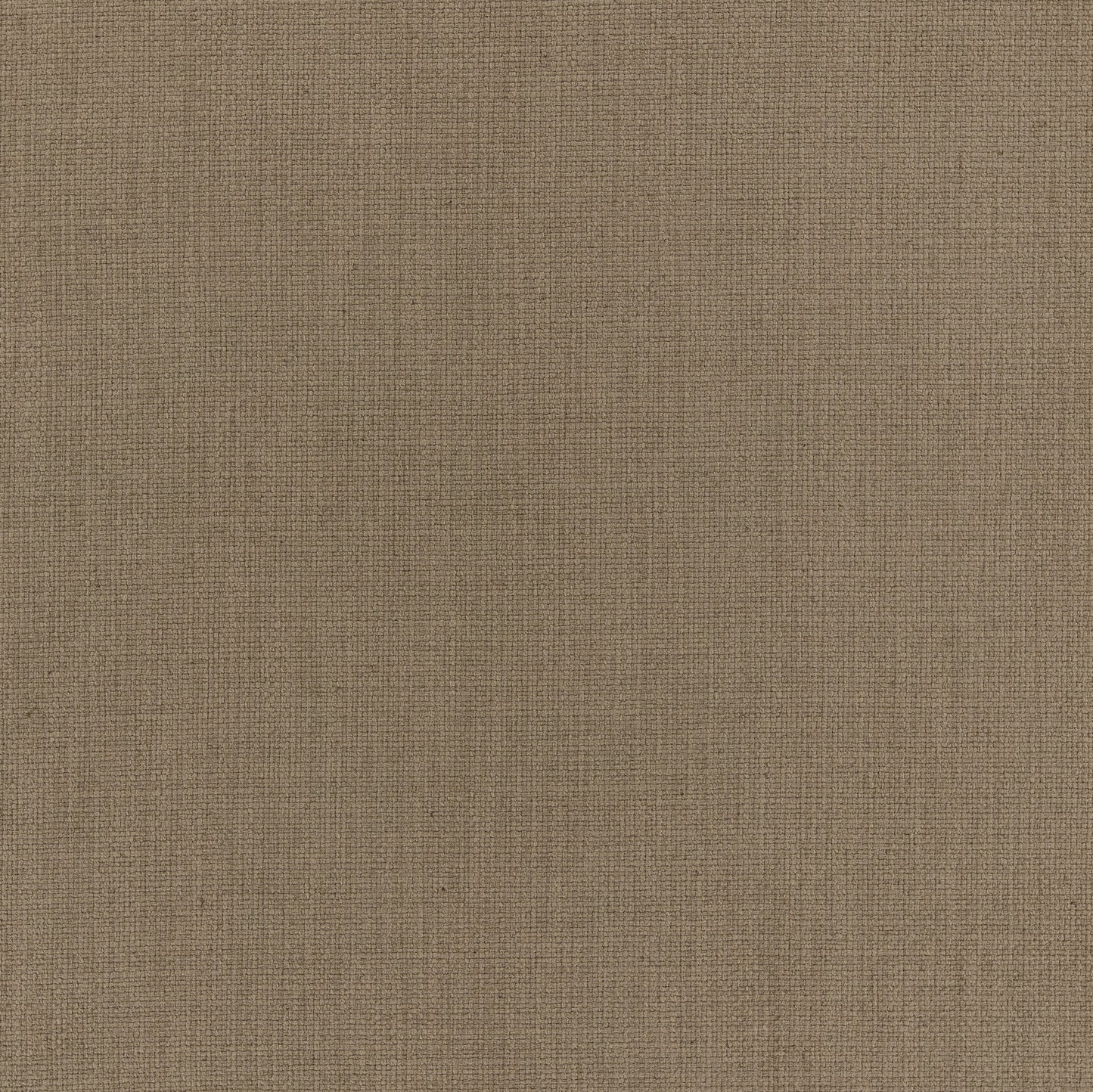 Warwick Jaeger Praline