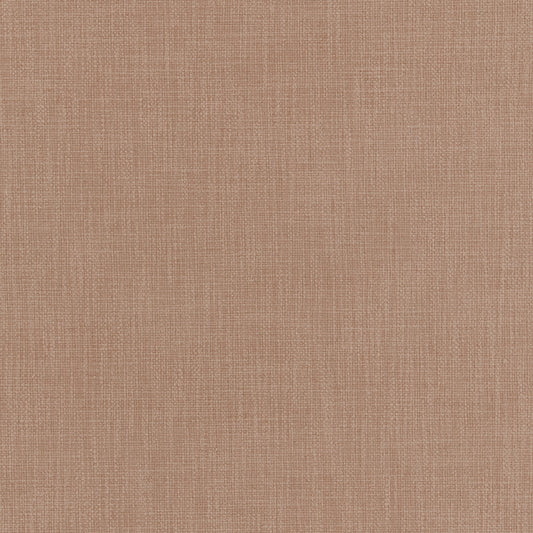 Warwick Jaeger Shell