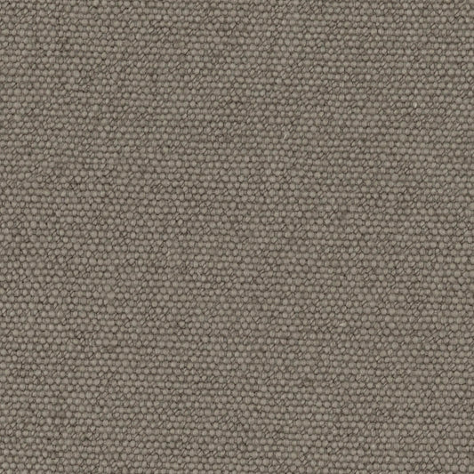 Warwick Jumbo Eucalyptus