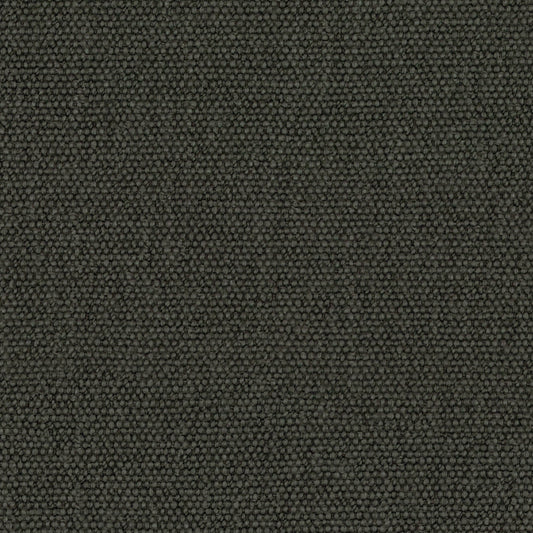 Warwick Jumbo Forest