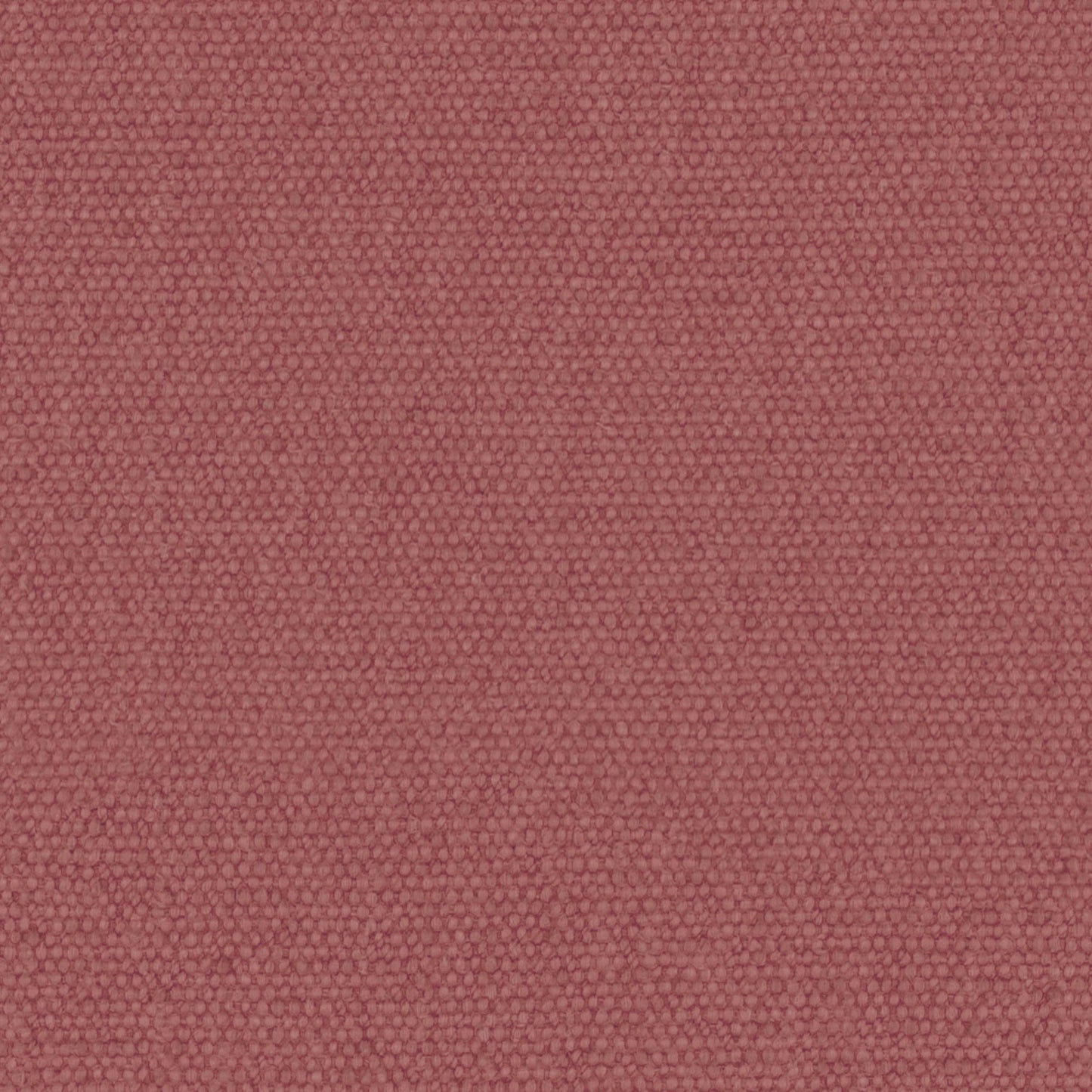 Warwick Jumbo Raspberry