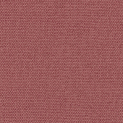 Warwick Jumbo Raspberry