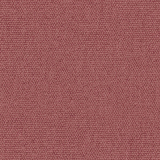 Warwick Jumbo Raspberry