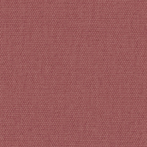 Warwick Jumbo Raspberry