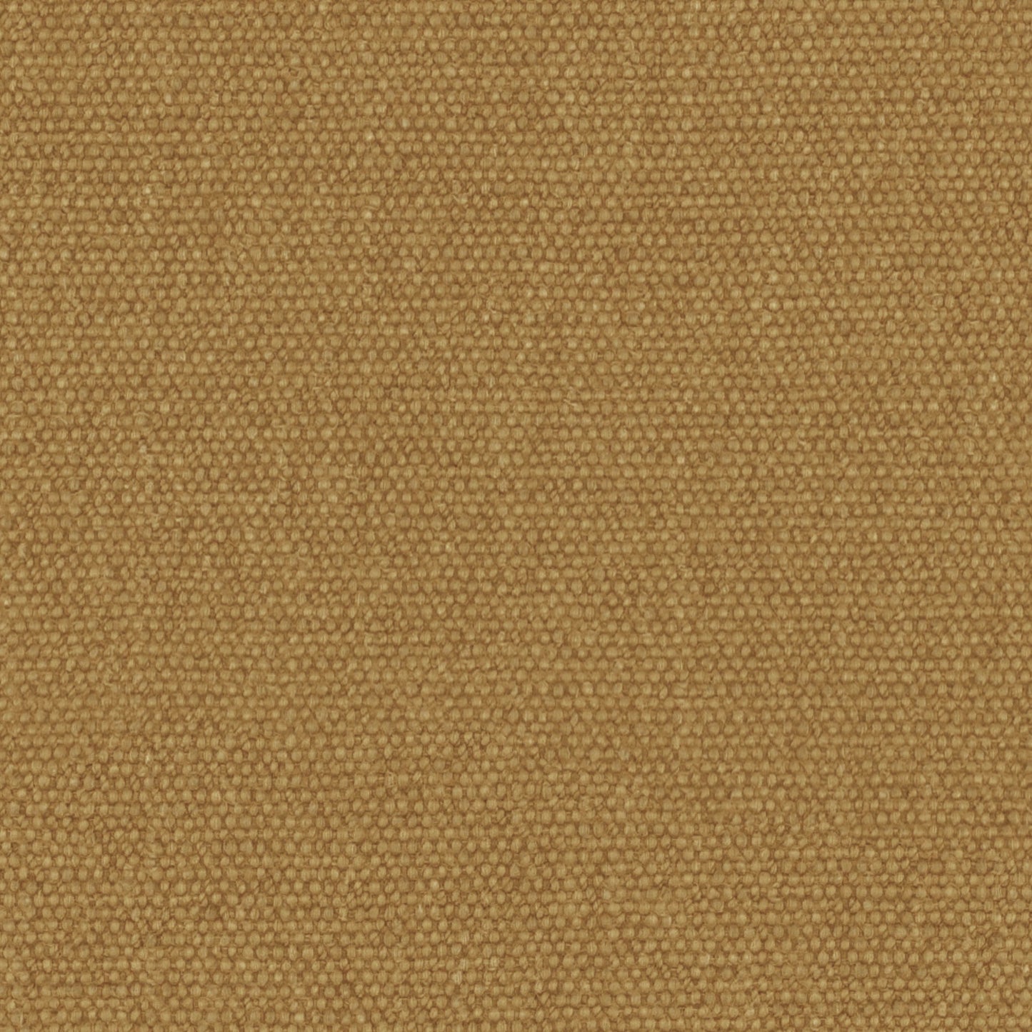Warwick Jumbo Sahara
