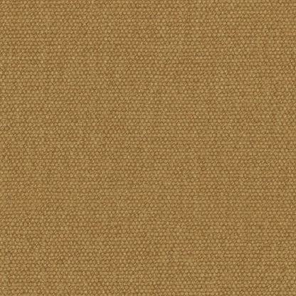 Warwick Jumbo Sahara