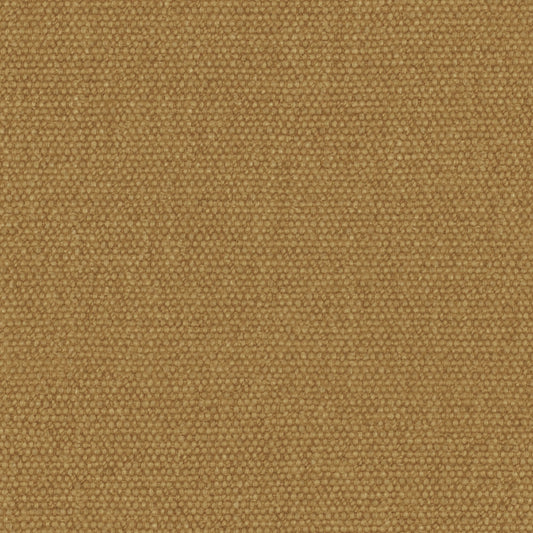 Warwick Jumbo Sahara