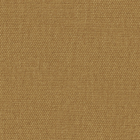 Warwick Jumbo Sahara