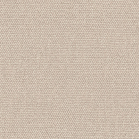 Warwick Jumbo Vanilla