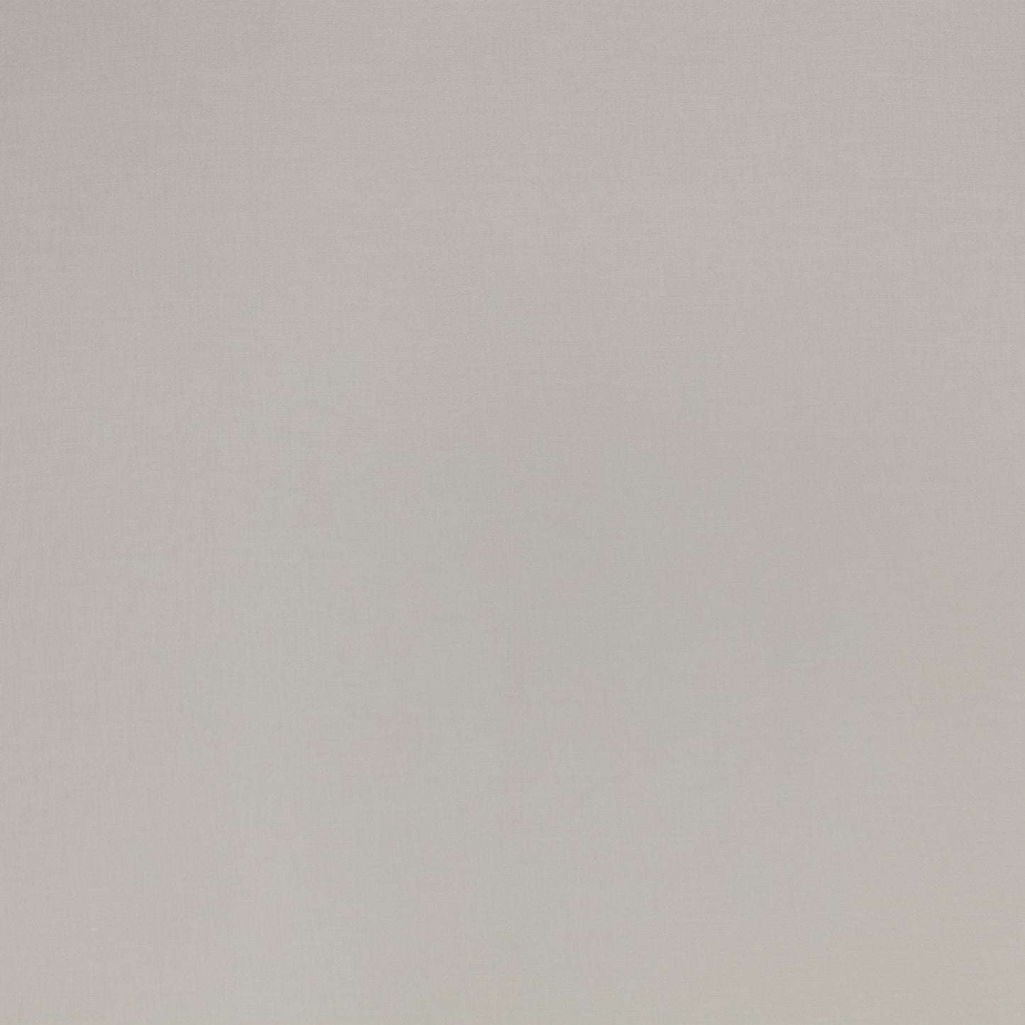 Kirkby Designs Vision FR Fossil