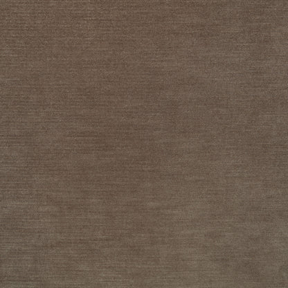 Kirkby Design Orion III Shitake