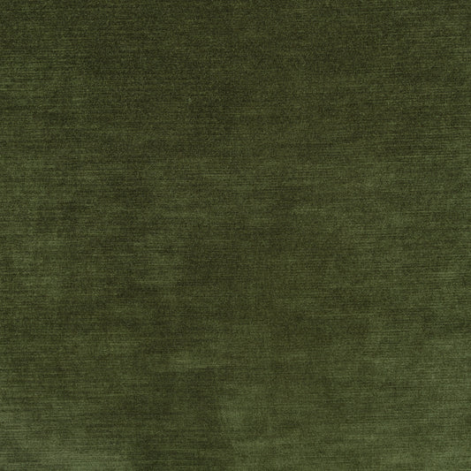 Kirkby Design Orion III Nettle