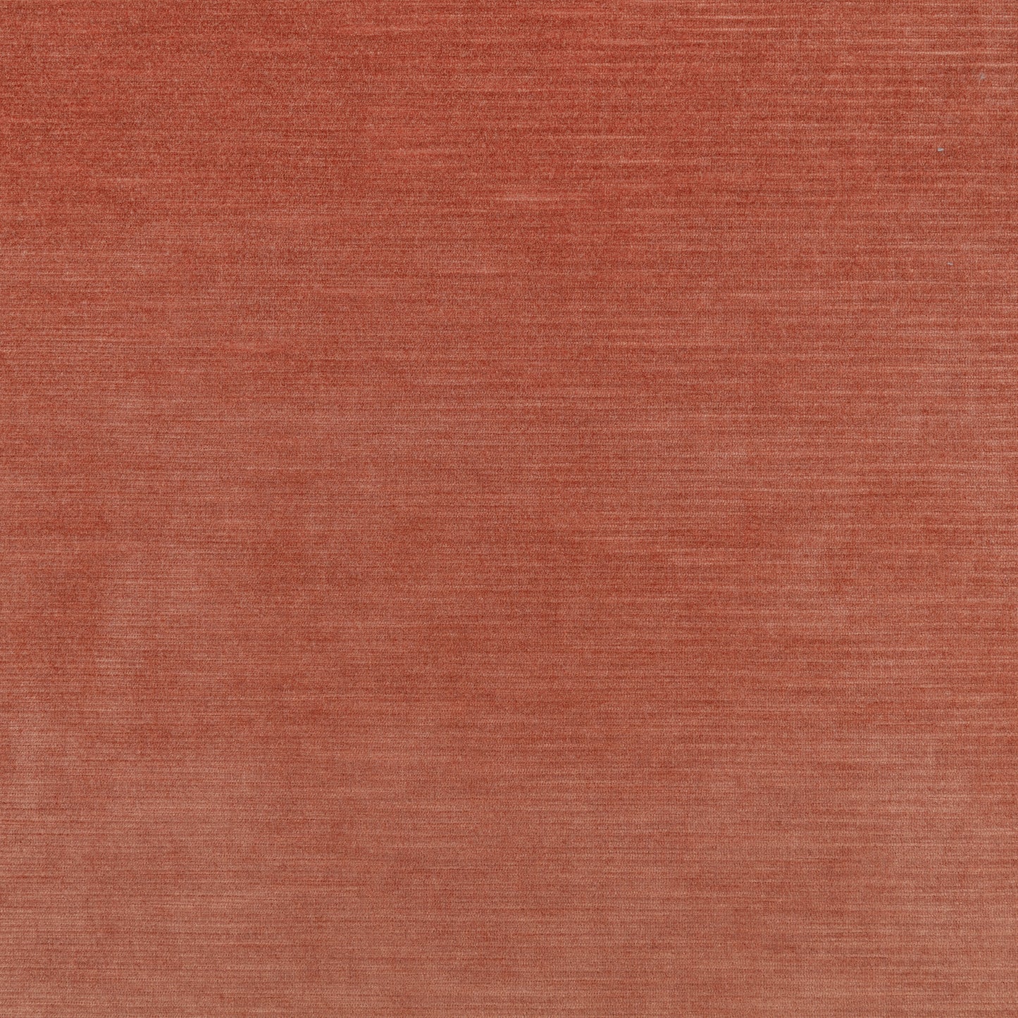 Kirkby Design Orion III Bloom