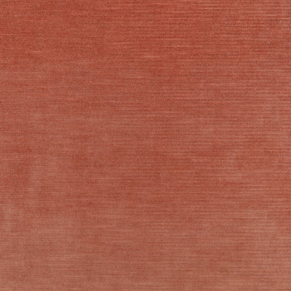 Kirkby Design Orion III Bloom