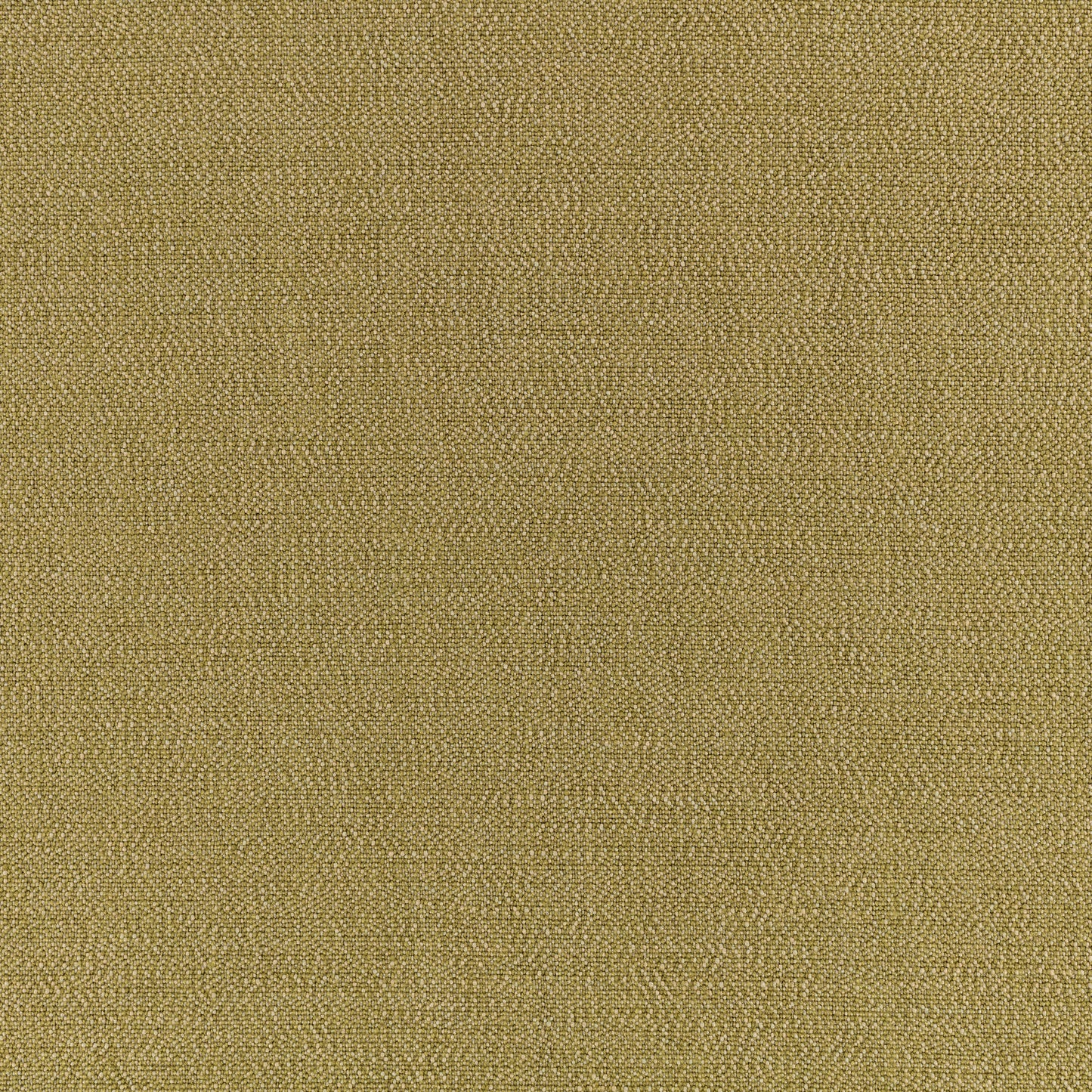 Kirkby Design Spritz FR Fern