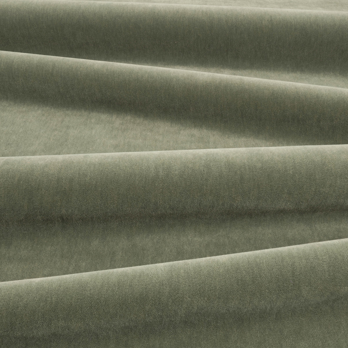 Kirkby Design Fuzzy Agave