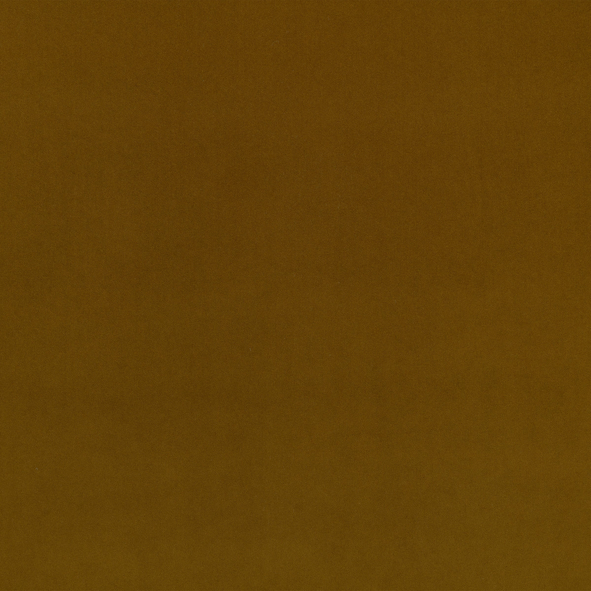 Kirkby Design Smooth Kelp
