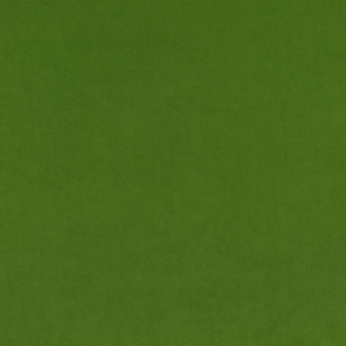 Kirkby Design Smooth Asparagus