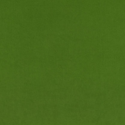 Kirkby Design Smooth Asparagus